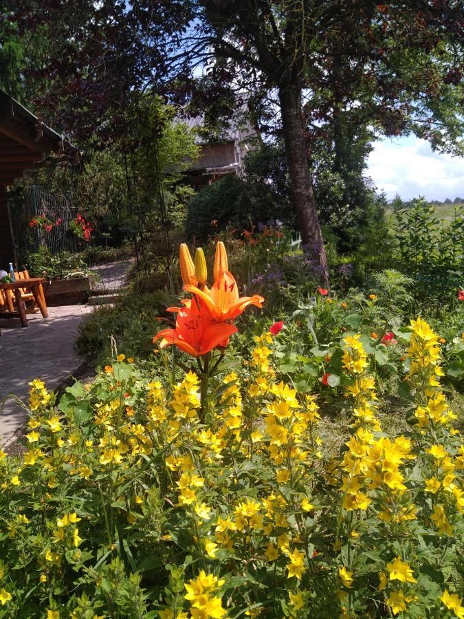Chalet Le Paradou Adults Only Lessive Kültér fotó